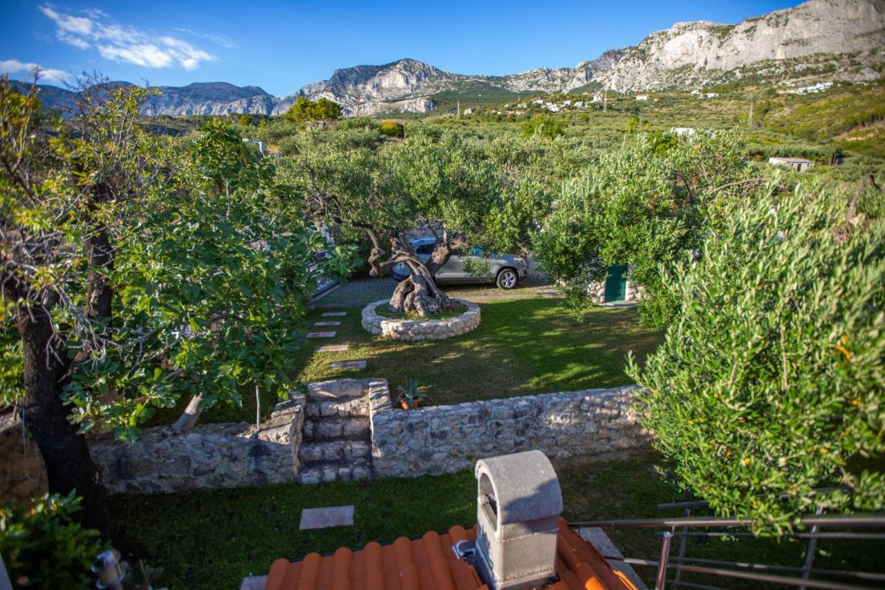 Villa Old Olive, 3Lovelyvillas Podgora Exteriér fotografie